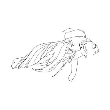 Goldfish with a beautiful tail Stock Illustration