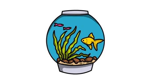 goldfish in bowl Sketch and 2d animated,... | Stock Video | Pond5