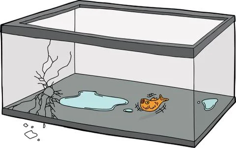 Goldfish Flopping in Empty Tank Illustrazione stock
