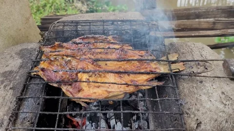 Goldfish grilled Stock Footage 230300780