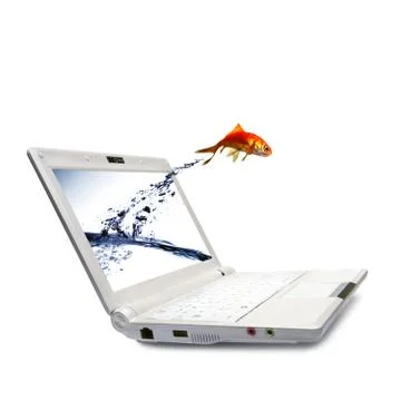Goldfish jump Stock Illustration