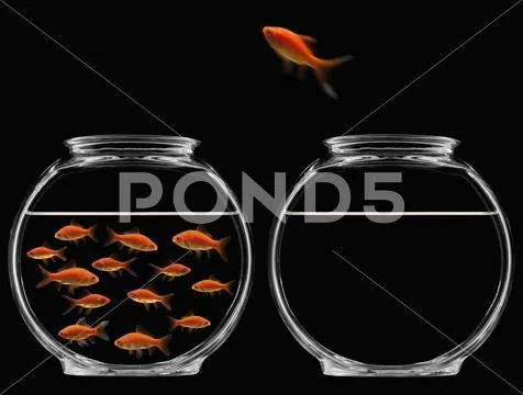Goldfish jumping out of bowl Stock Photos