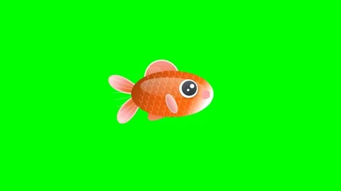Goldfish Looping on Green Screen Chroma Key Background Stock Footage 336960784