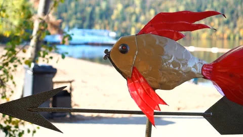 Goldfish pointer with metal arrow. Decorative navigator or compass Stock Footage 141813607
