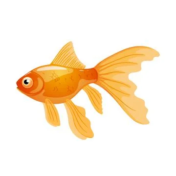 Goldfish in realistic style on white background.Vector illustration Stock Illustration