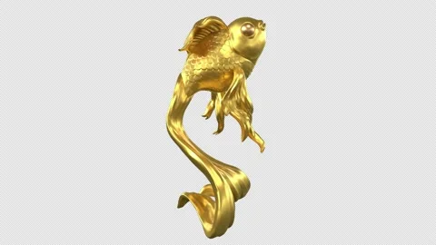 Goldfish rotation - 3d render looped with alpha channel. Stock Footage 167606419