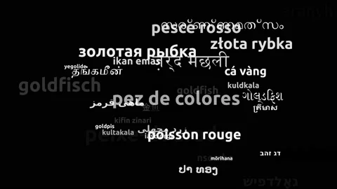 Goldfish Translated in 44 Worldwide Languages Endless Looping 3d Zooming Word Video stock 145200854