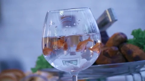 Goldfishes In A Glass. Table Layout Video stock 113817635