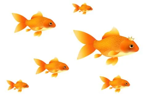 Goldfishes Stock Illustration