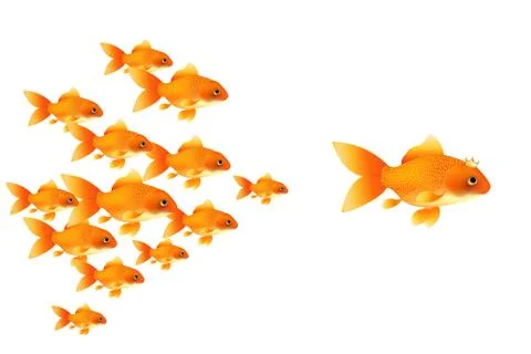 Goldfishes Stock Illustration