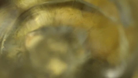 Goldsmith working on his workbench. Production and making manufacturing, factory Stock Footage 120010087