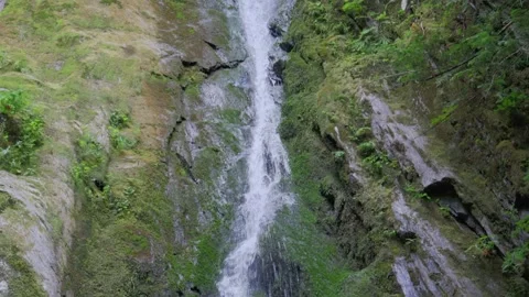 Goldstream Provincial Park waterfall cascading down rocky mossy cliff in summer Stock Footage 341978951