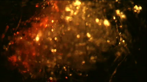 Goldust1 库存影片 531927