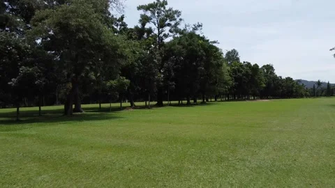 Golf Area, High angle footage pemandangan alam,kota and any more Stock Footage 233362017