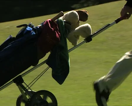 GOLF bag Video stock 14815506