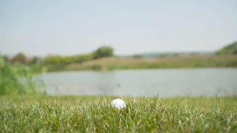 Golf ball chilling in the grass Stock Footage 96011910