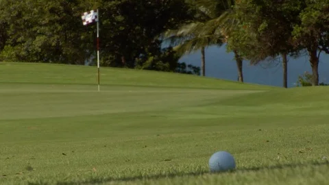 Golf ball close up on fairway putting green Stock Footage 125335986