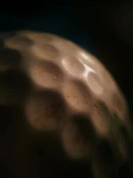 Golf ball closeup Stock Photos
