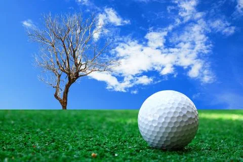 Golf-ball on course Stock Photos