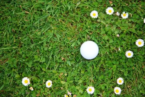 Golf ball on course Stock Photos