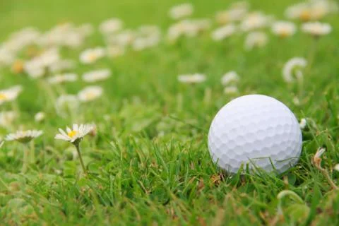 Golf ball on course Stock Photos