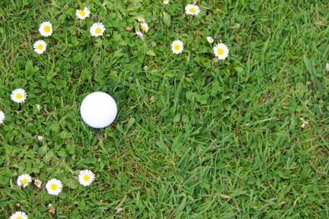Golf ball on course Stock Photos