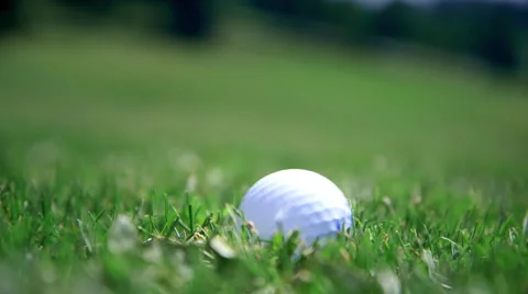 Golf ball dropped Stock Footage 41472837