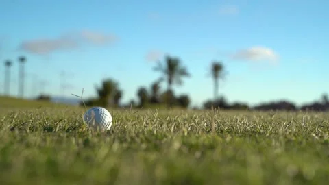 Golf ball falling to the grass of a golf course. Video stock 252603869