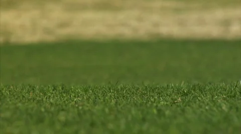 Golf Ball Stock Footage