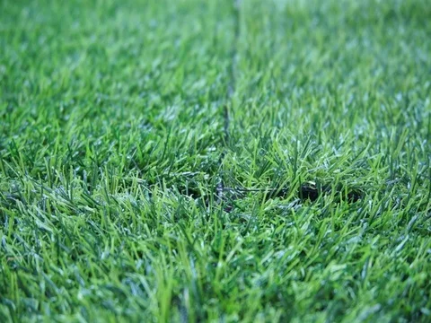 Golf ball Stock Footage 105056583