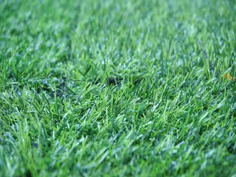 Golf ball Stock Footage 105056673