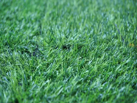 Golf ball Stock Footage 105056685