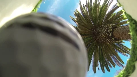 Golf ball going in hole Stock Footage 77580011