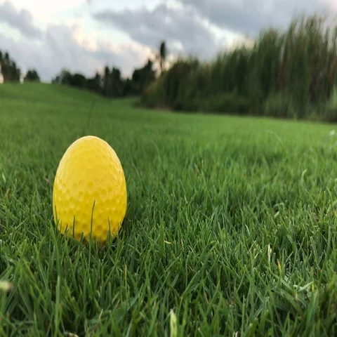 Golf ball on the grass close up Stock Footage 69548560