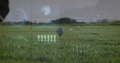 Golf ball on grass with digital data processing animation overlay Stock Footage 305077916