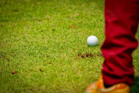 Golf ball on grass field Stock Photos