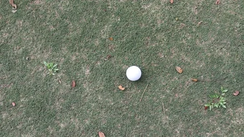 A golf ball on grass Stock Footage 170806917