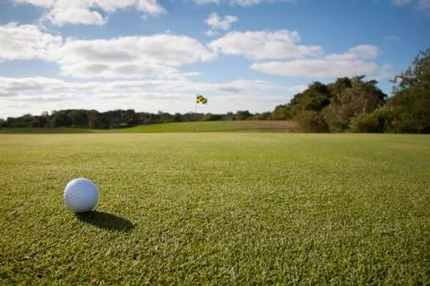 Golf ball on grass in golf course Photos