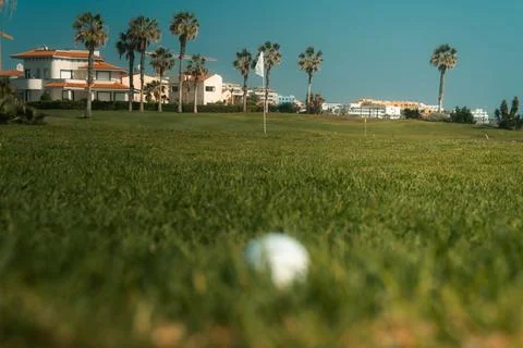 Golf ball on a grass golf course Stock Photos