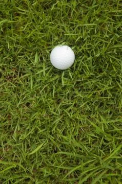 Golf ball on the grass Foto stock