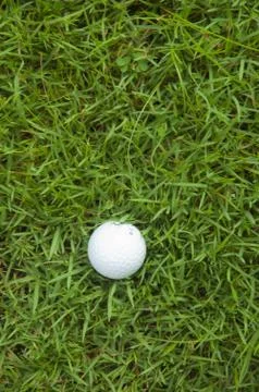 Golf ball on the grass Stock Photos