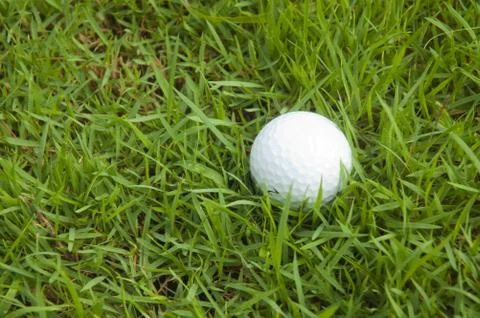 Golf ball on the grass Stock Photos