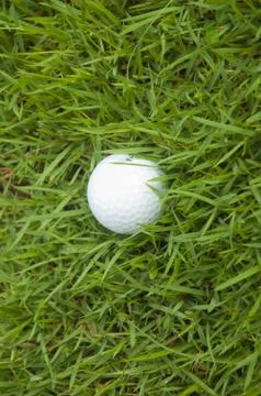 Golf ball on the grass Stock Photos