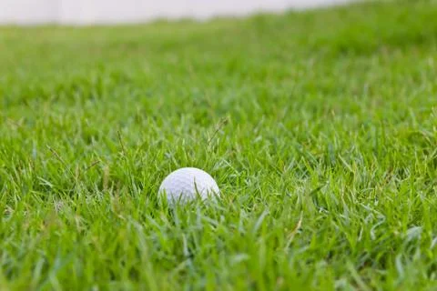 Golf ball on grass Stock Photos