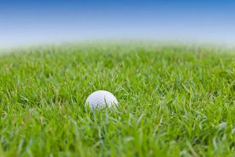 Golf ball on grass Stock Photos