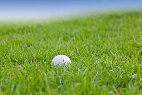 Golf ball on grass Stock Photos