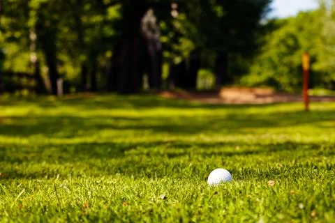 Golf ball in the grass Stock Photos