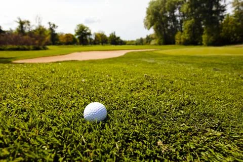 Golf ball in the grass Stock Photos