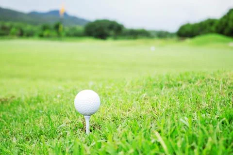 Golf ball on grass. Stock Photos