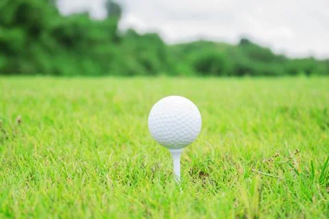 Golf ball on grass. Stock Photos